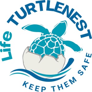Life Turtlenest