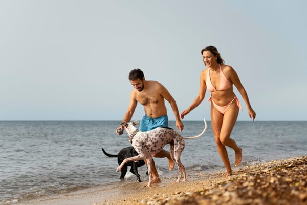 Passeggiata con i nostri amici cani