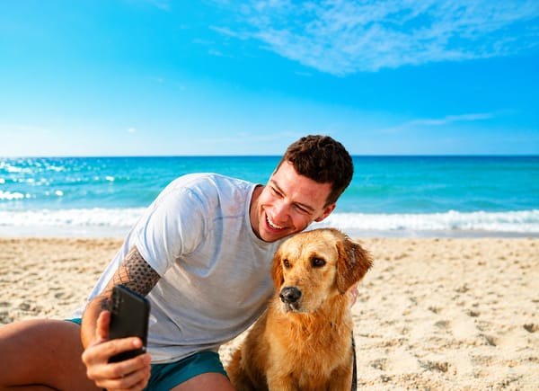 Pet-friendly